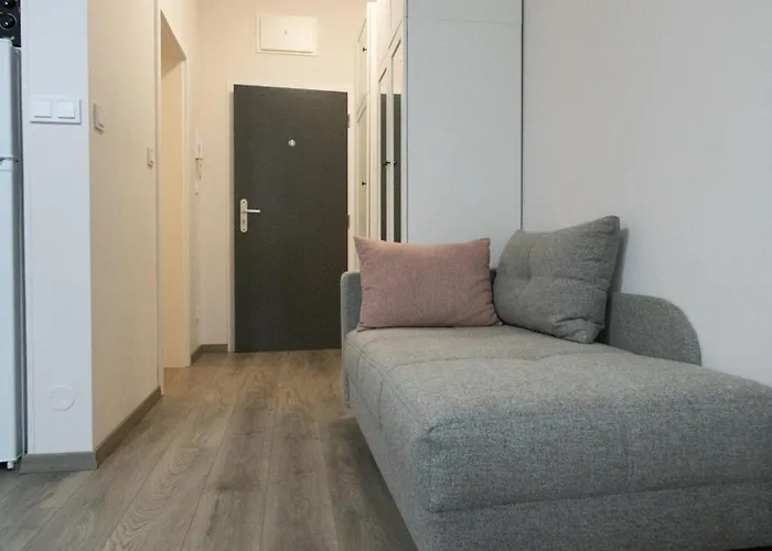 Appartement With Ap. Garden